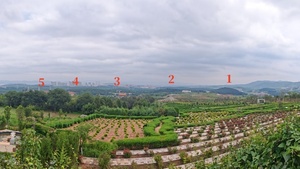 长松园风水之五龙朝圣