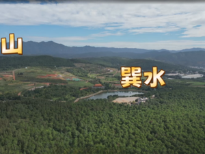 长松园风水之亥山巽水